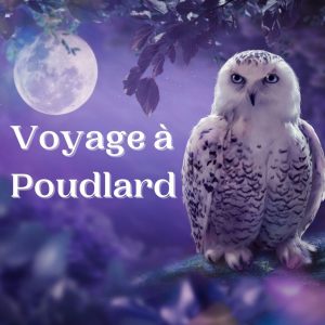 Voyage à Poudlard